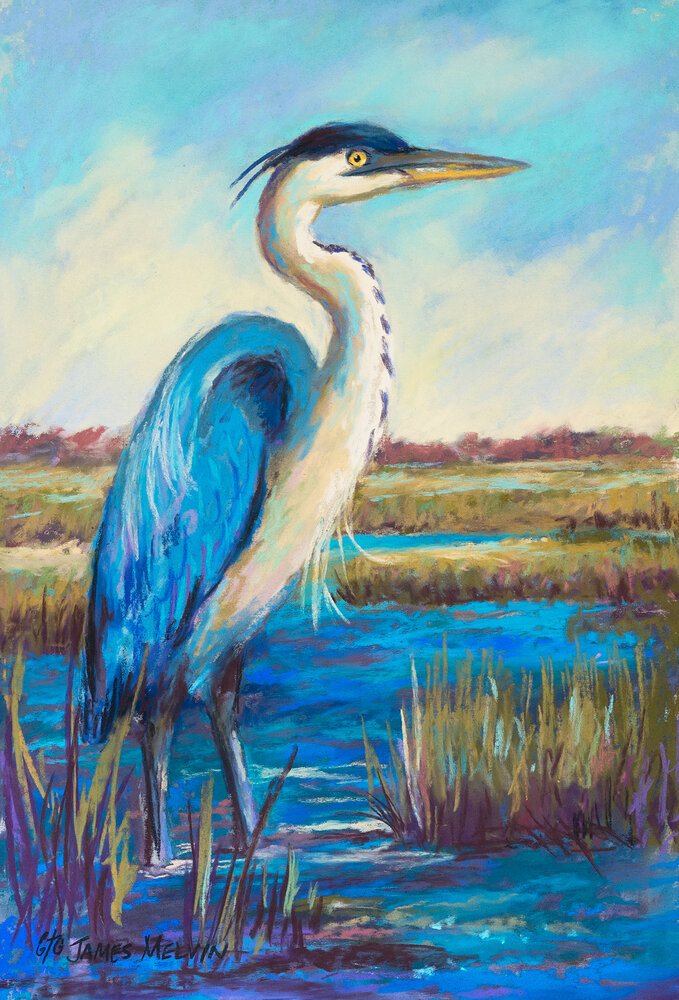 Coastal Art by James Melvin, Blue Heron