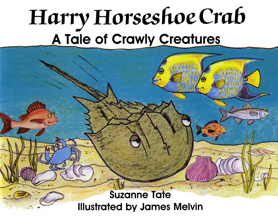 Suzanne Tate, Harry Horseshoe Crab 007